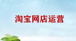 淘寶網(wǎng)店運(yùn)營(yíng)