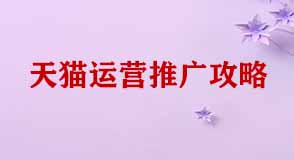 天貓運(yùn)營推廣