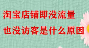 淘寶店鋪即沒(méi)流量也沒(méi)訪客是什么原因