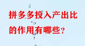 拼多多投入產(chǎn)出比的作用有哪些