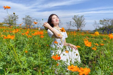 向冉：立志欲堅(jiān)不欲銳，成功在久不在速